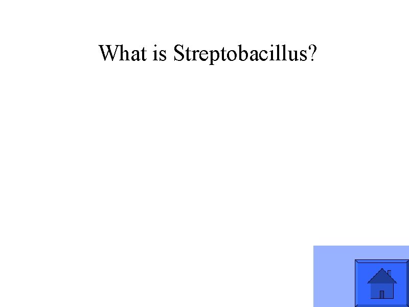 What is Streptobacillus? 