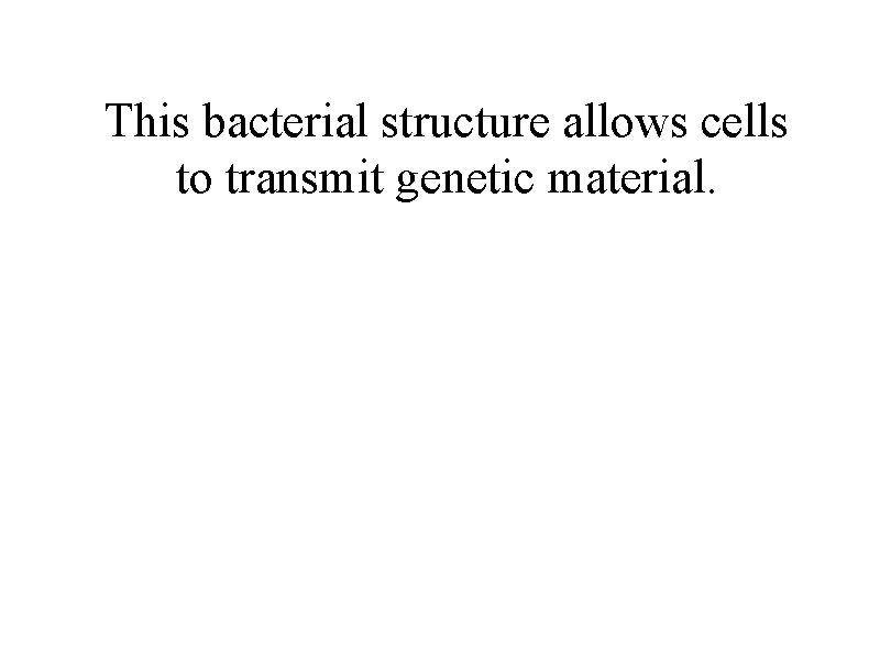 This bacterial structure allows cells to transmit genetic material. 