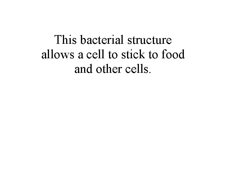 This bacterial structure allows a cell to stick to food and other cells. 