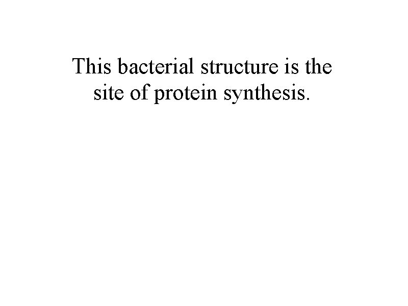 This bacterial structure is the site of protein synthesis. 