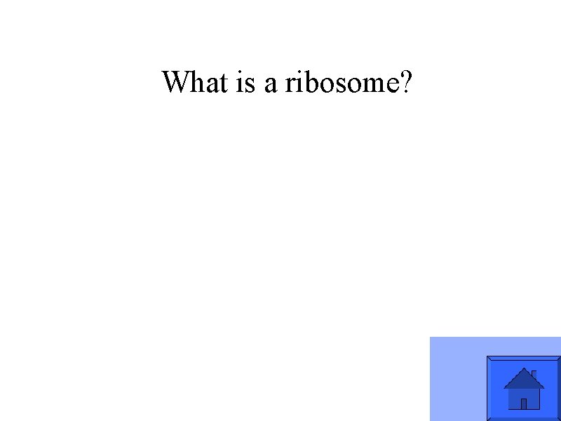 What is a ribosome? 
