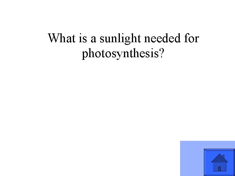 What is a sunlight needed for photosynthesis? 