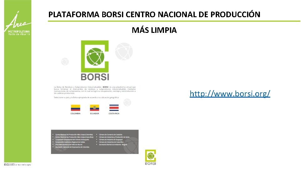 PLATAFORMA BORSI CENTRO NACIONAL DE PRODUCCIÓN MÁS LIMPIA http: //www. borsi. org/ 