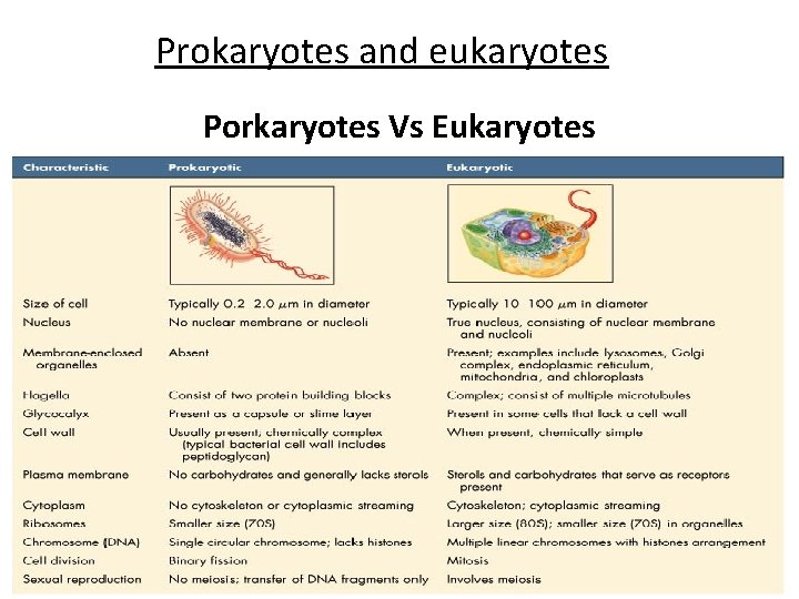 Prokaryotes and eukaryotes Porkaryotes Vs Eukaryotes 