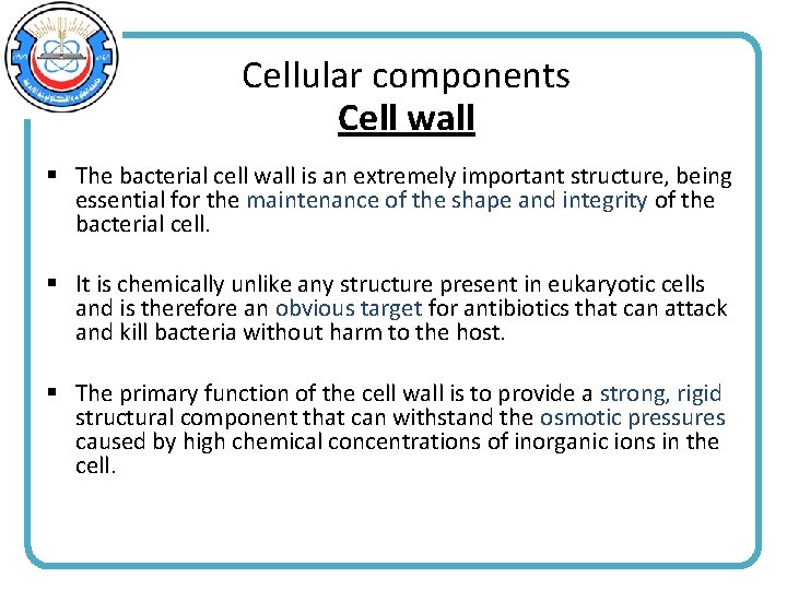 Cellular components Cell wall § The bacterial cell wall is an extremely important structure,