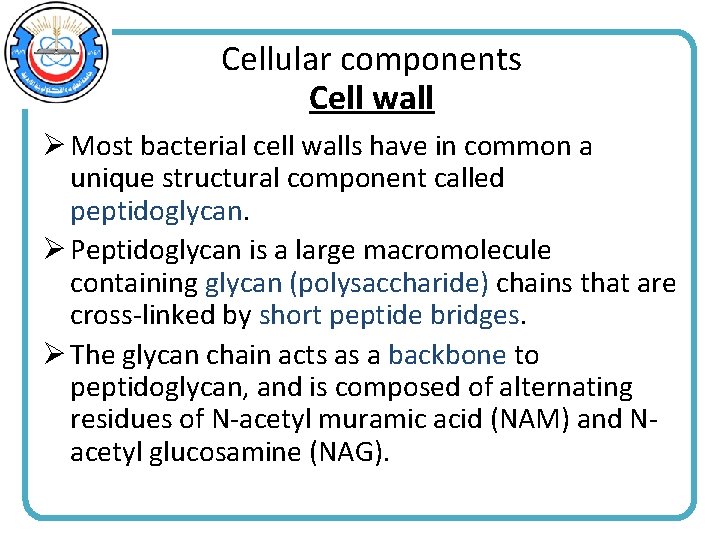 Cellular components Cell wall Ø Most bacterial cell walls have in common a unique