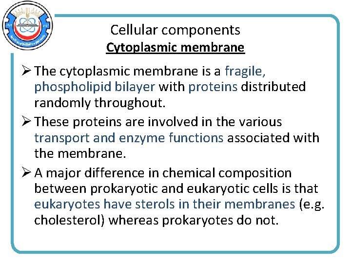 Cellular components Cytoplasmic membrane Ø The cytoplasmic membrane is a fragile, phospholipid bilayer with