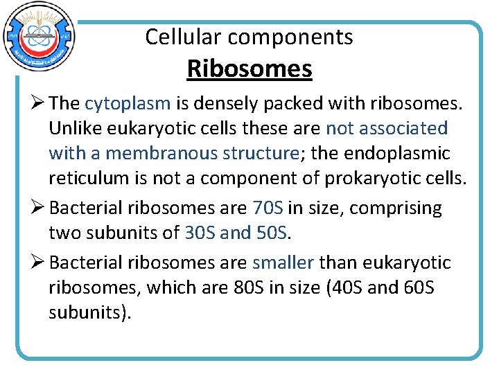 Cellular components Ribosomes Ø The cytoplasm is densely packed with ribosomes. Unlike eukaryotic cells