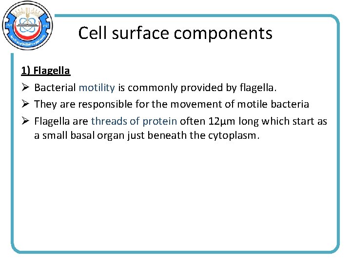 Cell surface components 1) Flagella Ø Bacterial motility is commonly provided by flagella. Ø