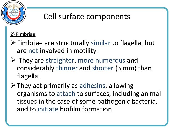 Cell surface components 2) Fimbriae Ø Fimbriae are structurally similar to flagella, but are