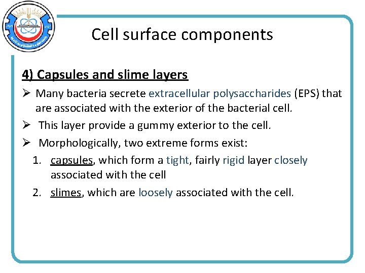 Cell surface components 4) Capsules and slime layers Ø Many bacteria secrete extracellular polysaccharides