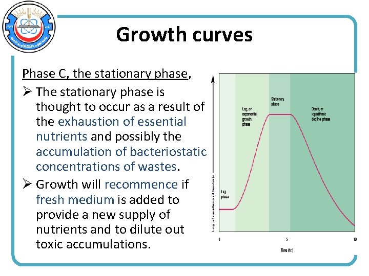Growth curves Phase C, the stationary phase, Ø The stationary phase is thought to