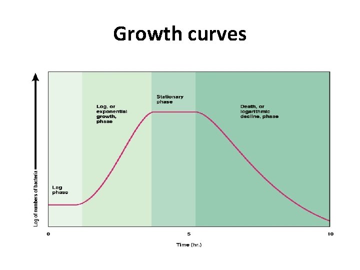 Growth curves 