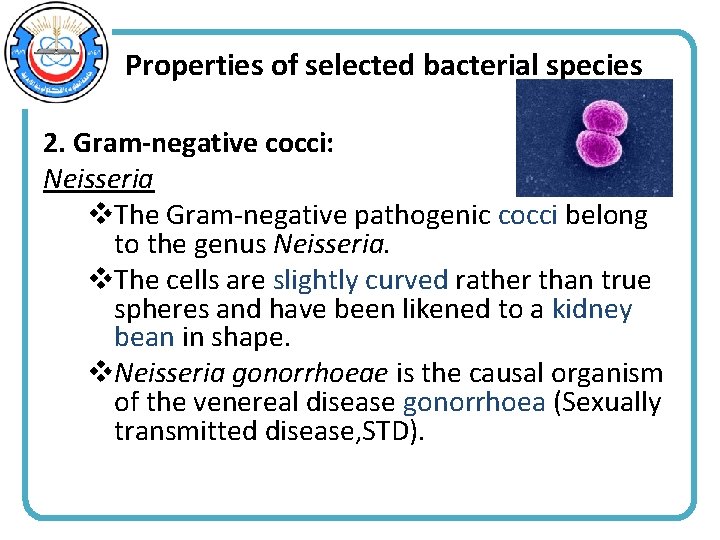 Properties of selected bacterial species 2. Gram-negative cocci: Neisseria v. The Gram-negative pathogenic cocci