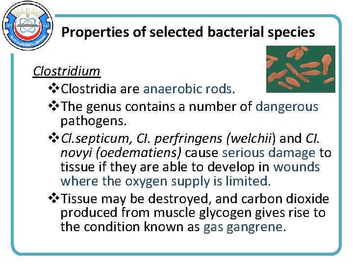 Properties of selected bacterial species Clostridium v. Clostridia are anaerobic rods. v. The genus