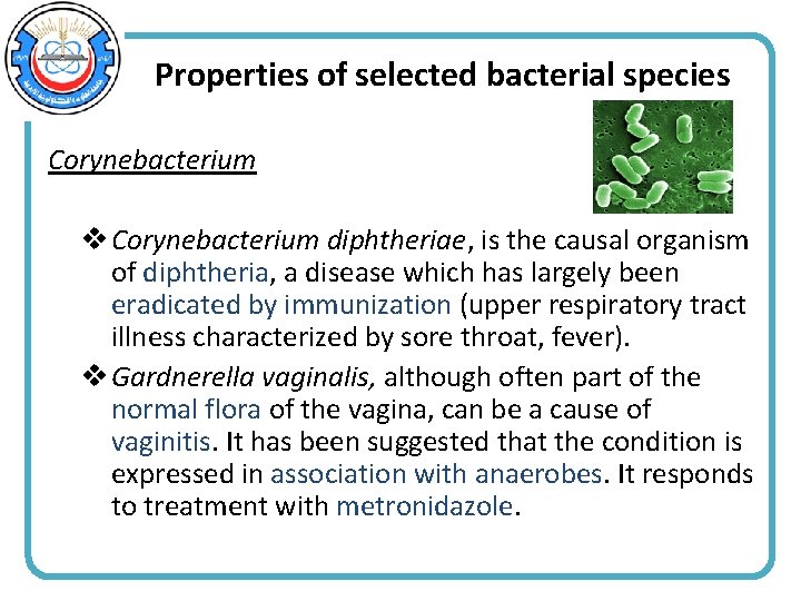 Properties of selected bacterial species Corynebacterium v Corynebacterium diphtheriae, is the causal organism of