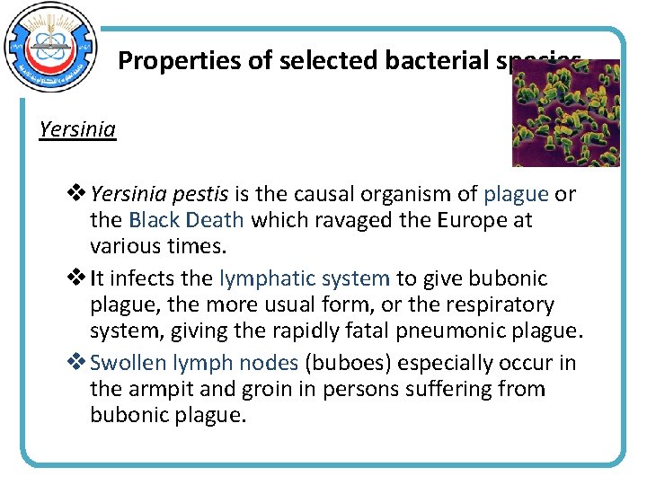 Properties of selected bacterial species Yersinia v Yersinia pestis is the causal organism of