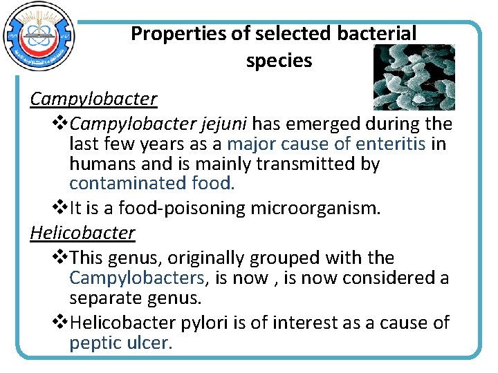 Properties of selected bacterial species Campylobacter v. Campylobacter jejuni has emerged during the last