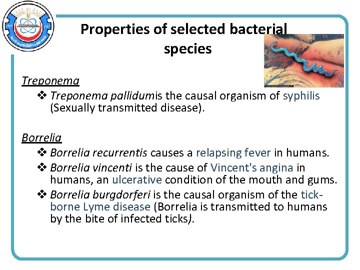 Properties of selected bacterial species Treponema v Treponema pallidumis the causal organism of syphilis