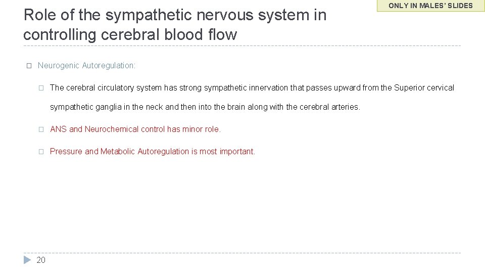 Role of the sympathetic nervous system in controlling cerebral blood flow � ONLY IN