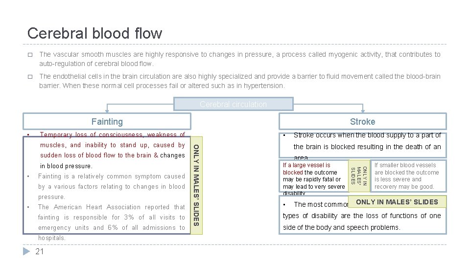 Cerebral blood flow � The vascular smooth muscles are highly responsive to changes in