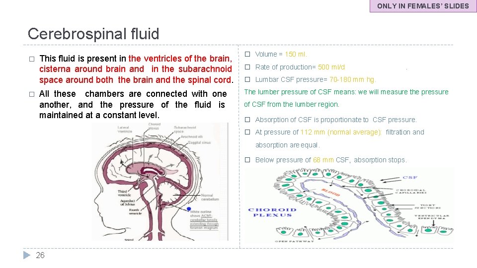 ONLY IN FEMALES’ SLIDES Cerebrospinal fluid � � This fluid is present in the