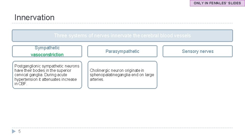 ONLY IN FEMALES’ SLIDES Innervation Three systems of nerves innervate the cerebral blood vessels