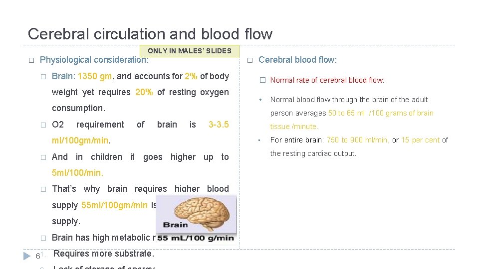 Cerebral circulation and blood flow ONLY IN MALES’ SLIDES � Physiological consideration: � �