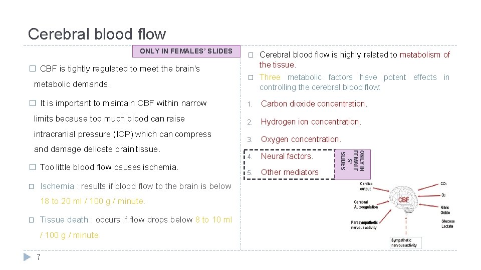 Cerebral blood flow ONLY IN FEMALES’ SLIDES Cerebral blood flow is highly related to