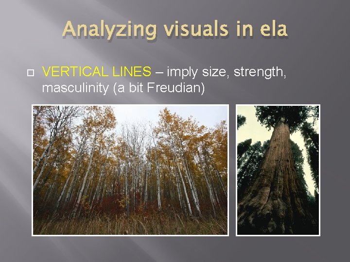 Analyzing visuals in ela VERTICAL LINES – imply size, strength, masculinity (a bit Freudian)