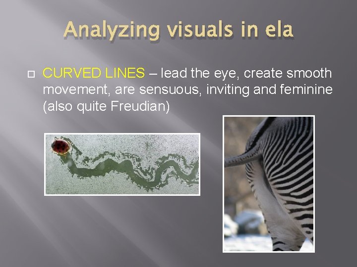 Analyzing visuals in ela CURVED LINES – lead the eye, create smooth movement, are
