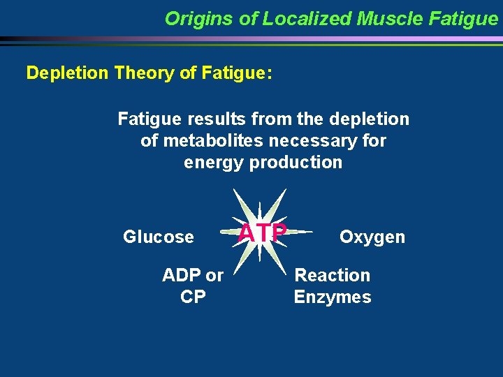 Origins of Localized Muscle Fatigue Depletion Theory of Fatigue: Fatigue results from the depletion