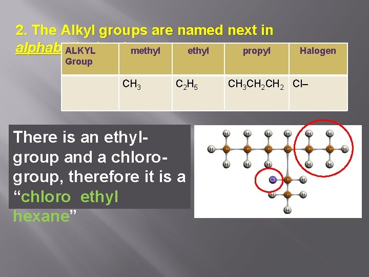 2. The Alkyl groups are named next in alphabetical. ALKYL order methyl propyl Halogen