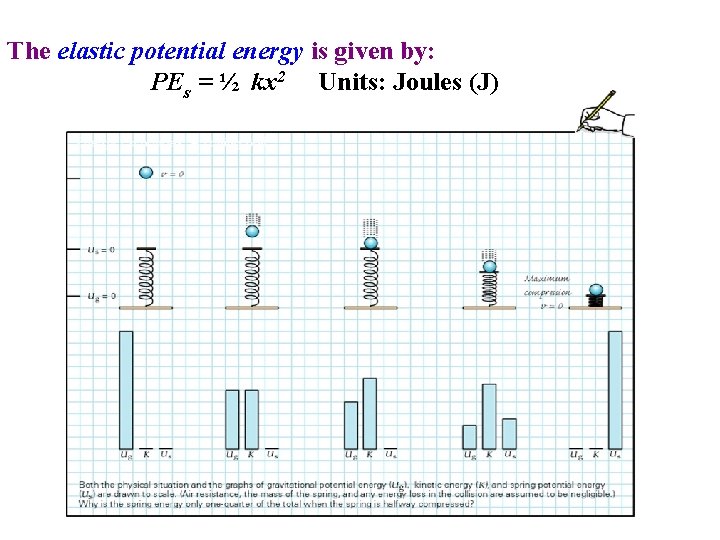 The elastic potential energy is given by: PEs = ½ kx 2 Units: Joules