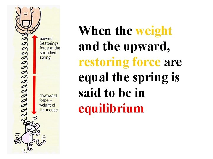 When the weight and the upward, restoring force are equal the spring is said