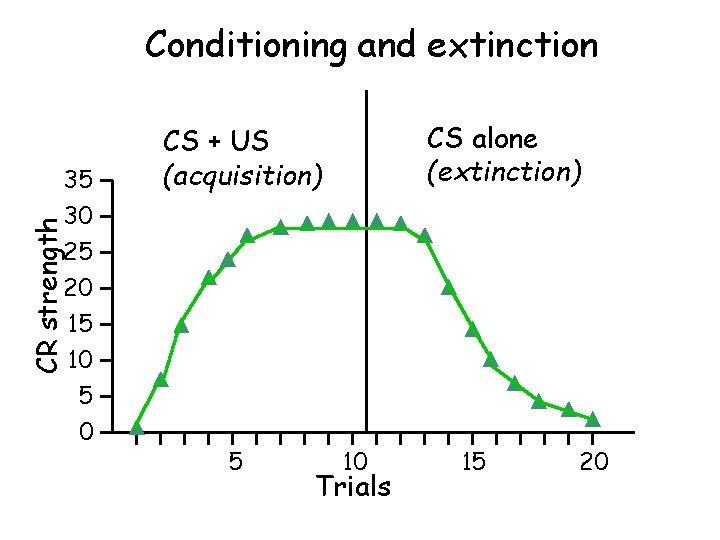 Conditioning and extinction 35 CS alone (extinction) CS + US (acquisition) CR strength 30