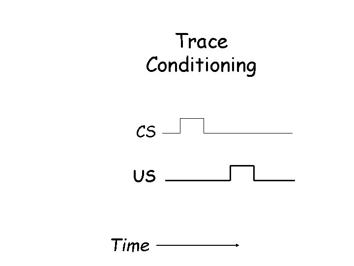 Trace Conditioning CS US Time 