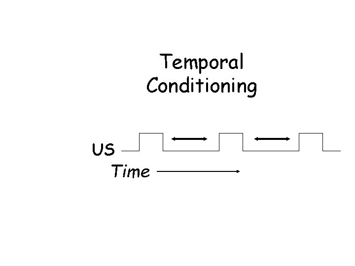 Temporal Conditioning US Time 