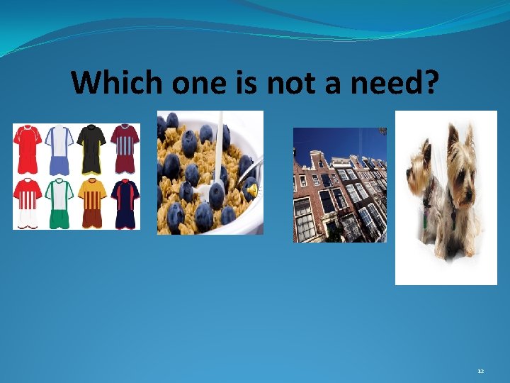 Which one is not a need? 12 