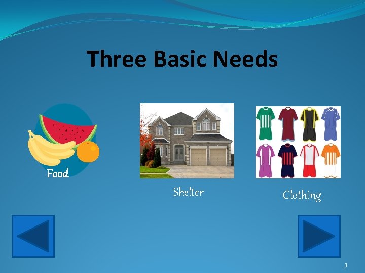 Three Basic Needs Food Shelter Clothing 3 