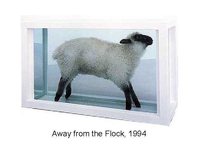 Away from the Flock, 1994 