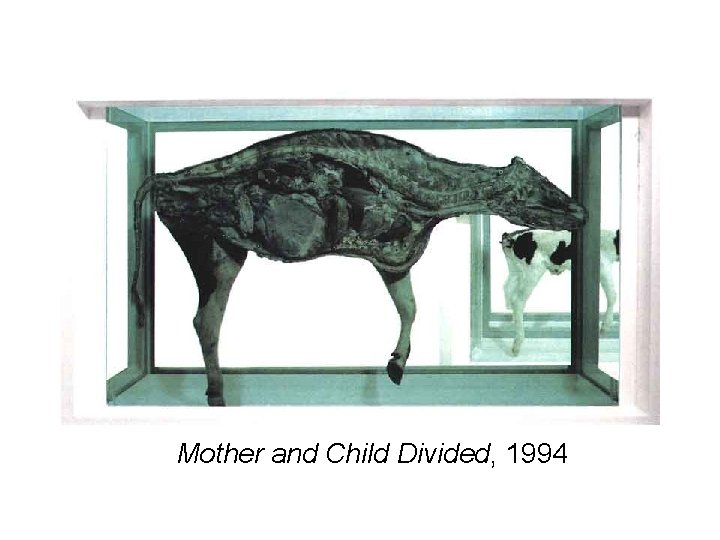 Mother and Child Divided, 1994 