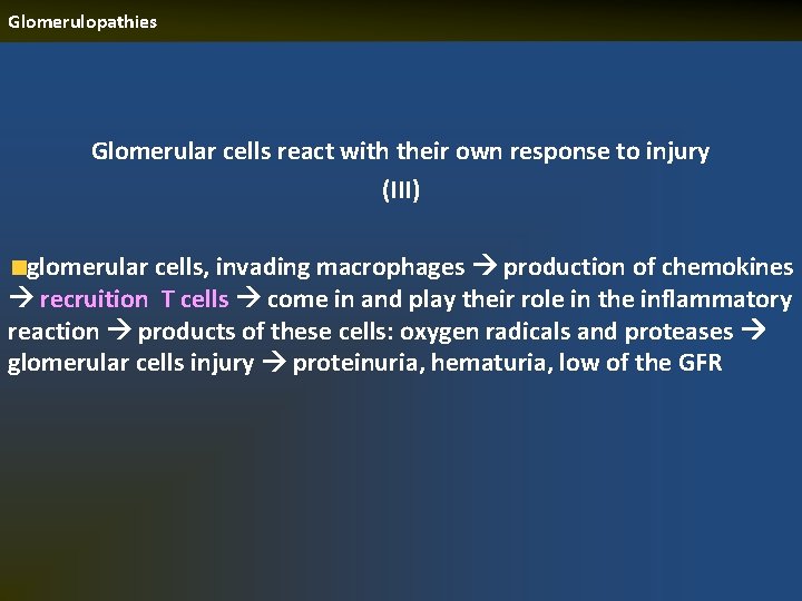 Glomerulopathies Glomerular cells react with their own response to injury (III) glomerular cells, invading