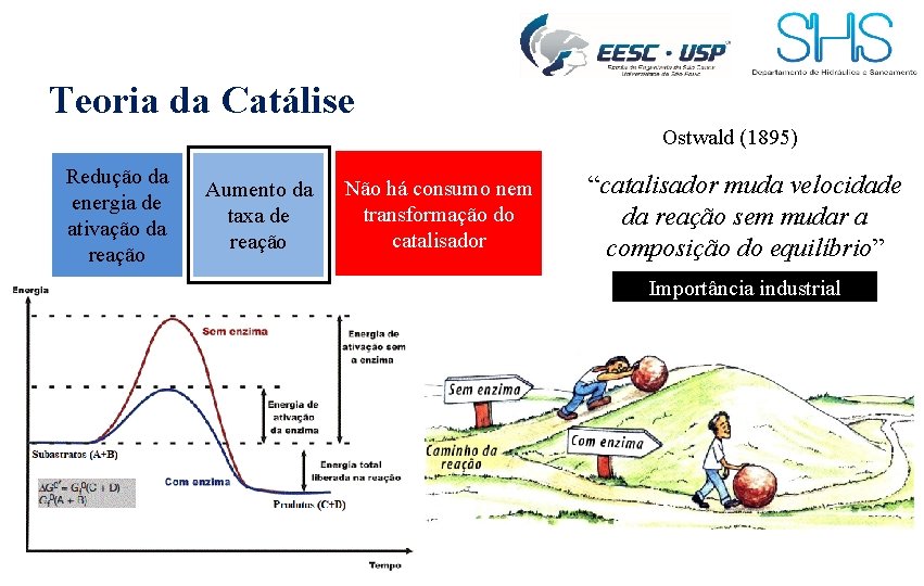 Teoria da Catálise Ostwald (1895) Redução da energia de ativação da reação Aumento da