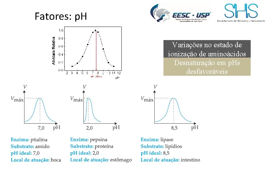 Fatores: p. H Variações no estado de ionização de aminoácidos Desnaturação em p. Hs