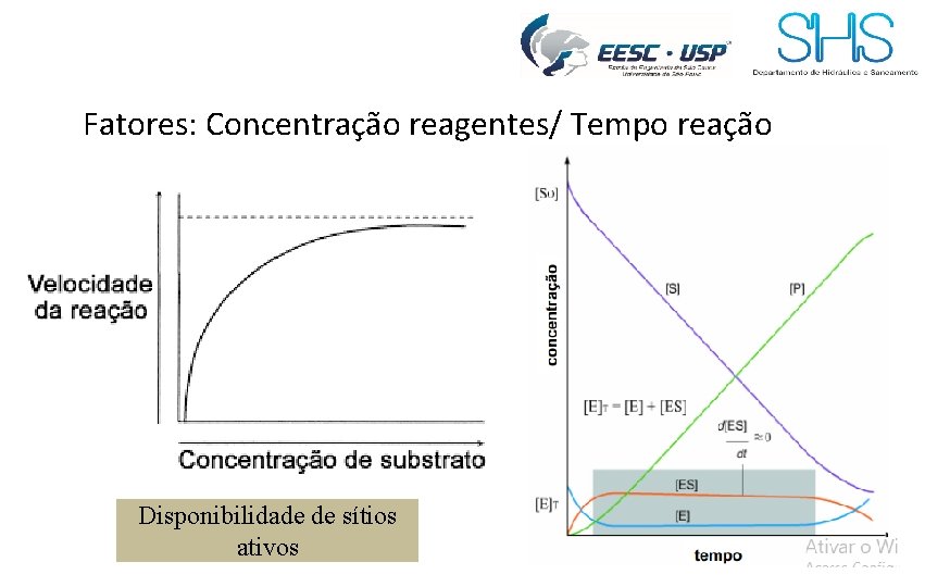 Fatores: Concentração reagentes/ Tempo reação Disponibilidade de sítios ativos 