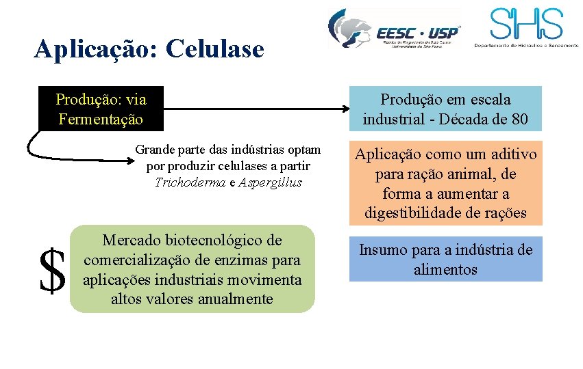 Aplicação: Celulase Produção: via Fermentação Grande parte das indústrias optam por produzir celulases a