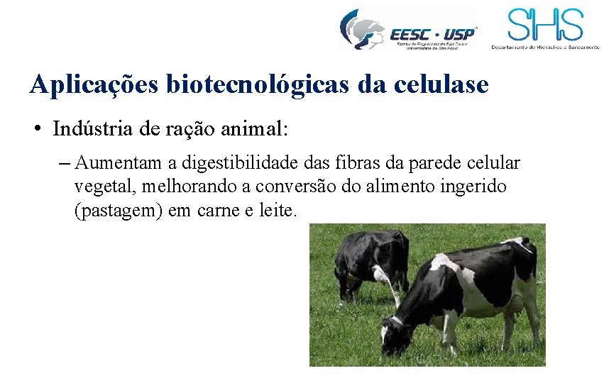 Aplicações biotecnológicas da celulase • Indústria de ração animal: – Aumentam a digestibilidade das