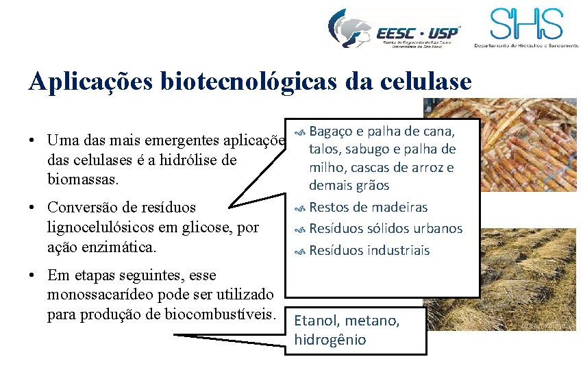 Aplicações biotecnológicas da celulase • Uma das mais emergentes aplicações das celulases é a