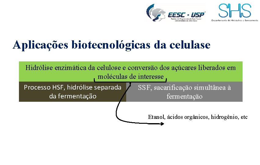 Aplicações biotecnológicas da celulase Hidrólise enzimática da celulose e conversão dos açúcares liberados em